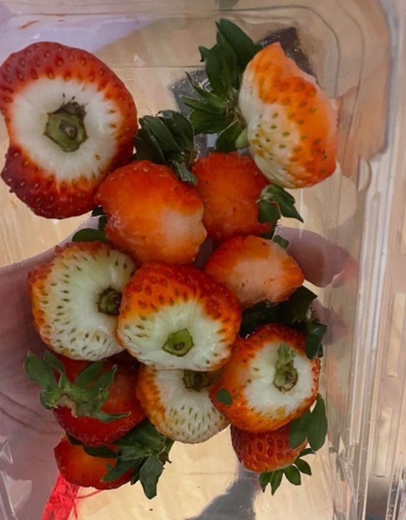 "Zagrizla je gotovo svaku jagodu i ni jednu nije pojela do kraja!"