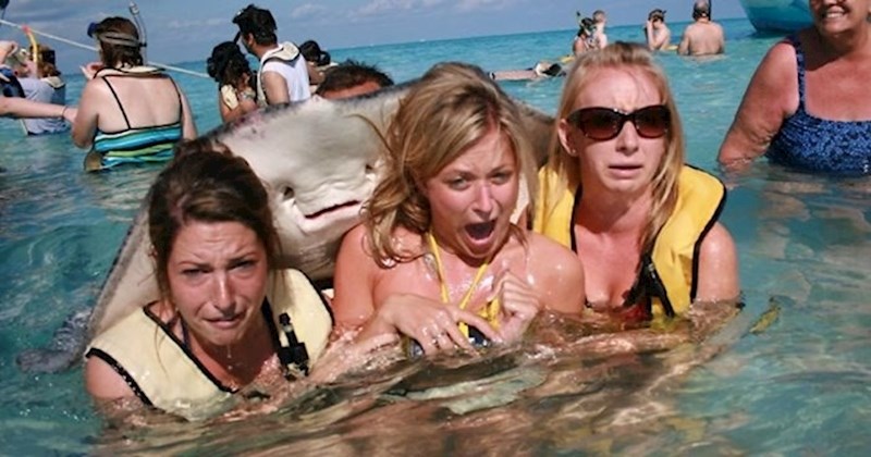 20 zanimljivih životinjskih slika koje će vam nabaciti osmijeh na lice