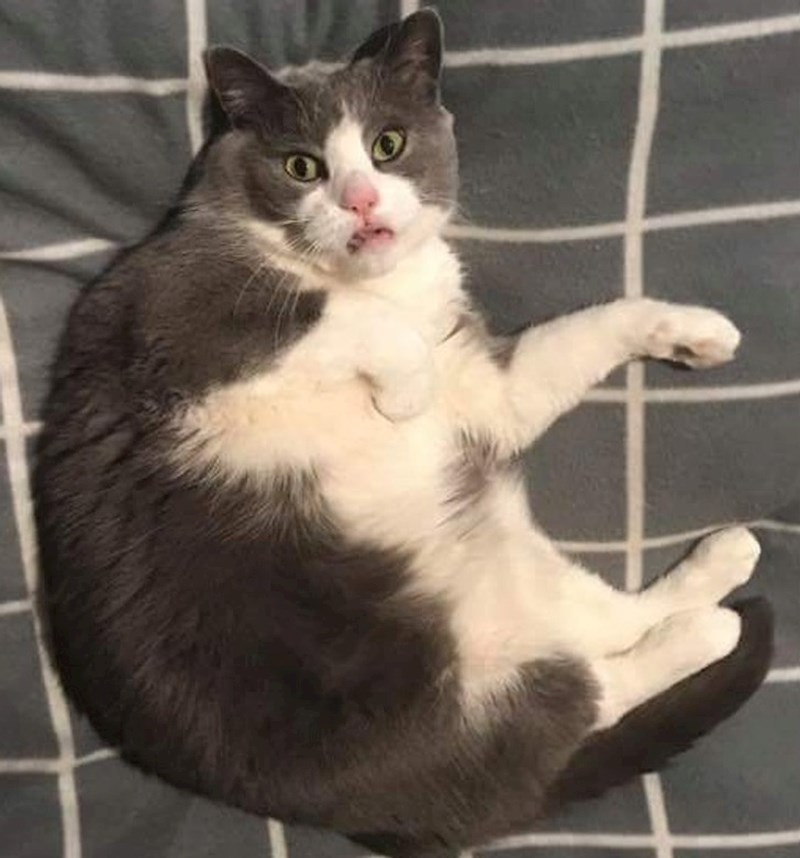 4. Kad me pitaju kako izgledam kad se probudim 😂