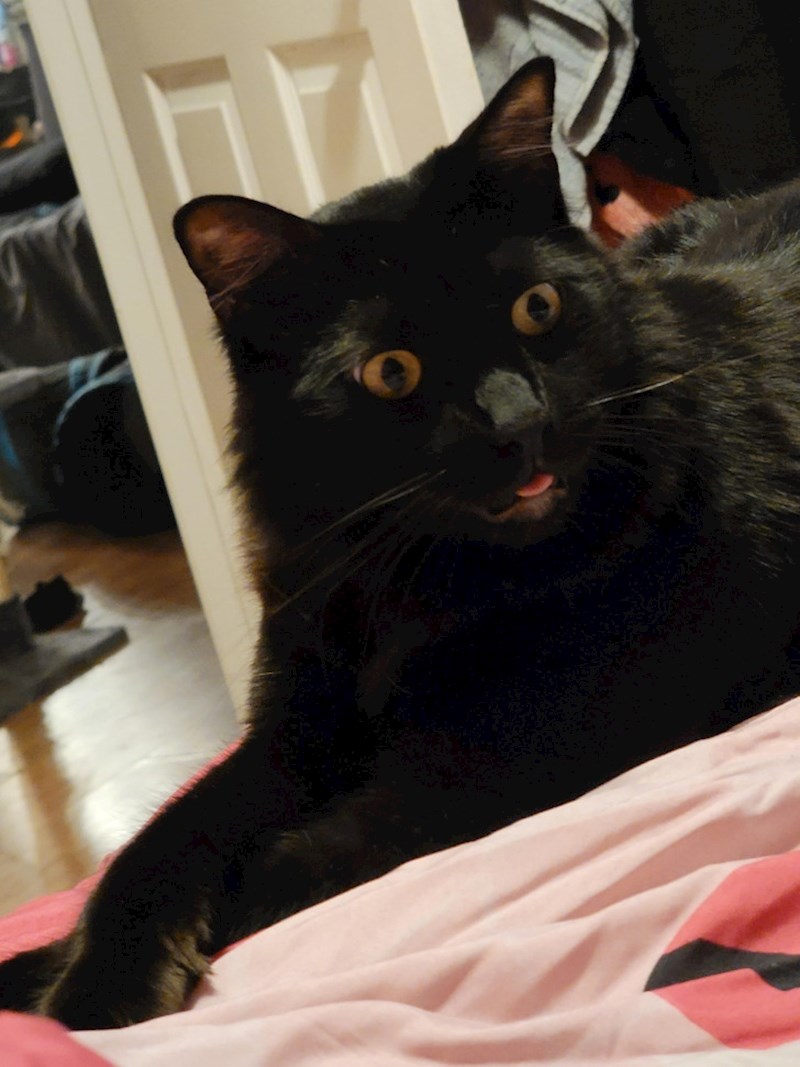 21. Shvatio je da se hrana ne kupuje sama... 😃