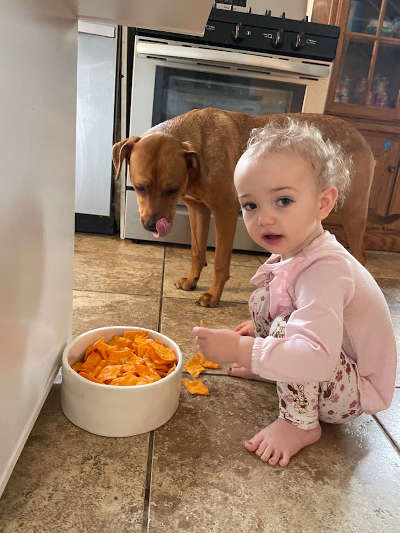 10. "Otvorila je novi čips i stavila ga u pseću zdjelicu da bi ona i pas mogli zajedno jesti"