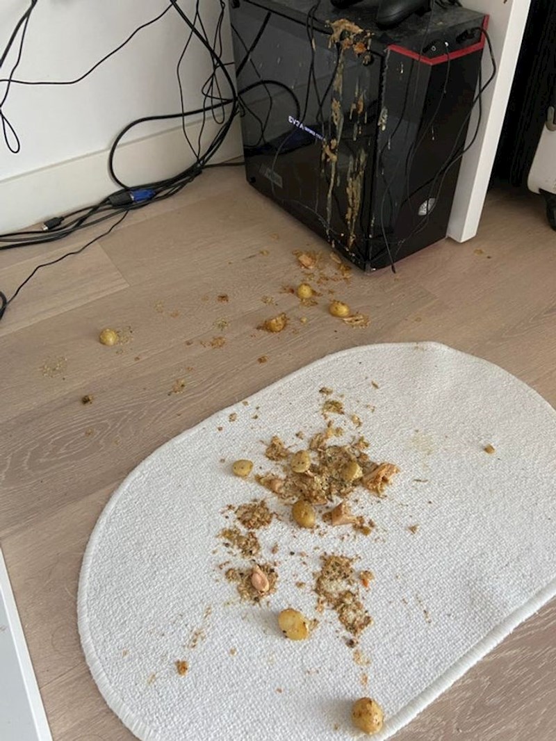 14. Ručak baš i nije prošao po planu...