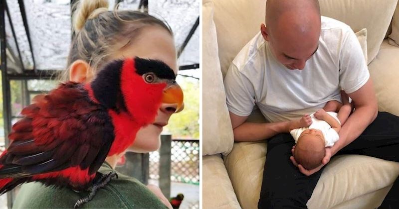 12 simpatičnih prizora koji su ljude zbunili na prvi pogled pa su ih morali pogledati više puta