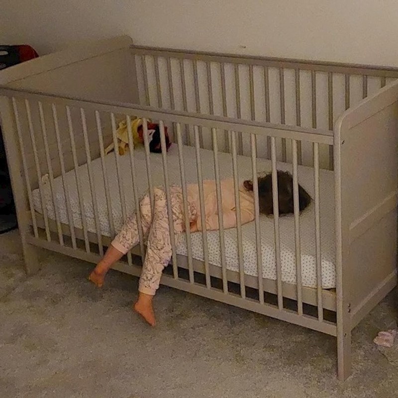 12. "Barem jedno dnevno spava u ovoj pozi i probudi se u panici jer je zapela"