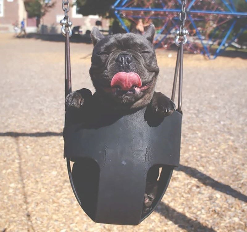 12. "Uživa u svom prvom ljuljanju."