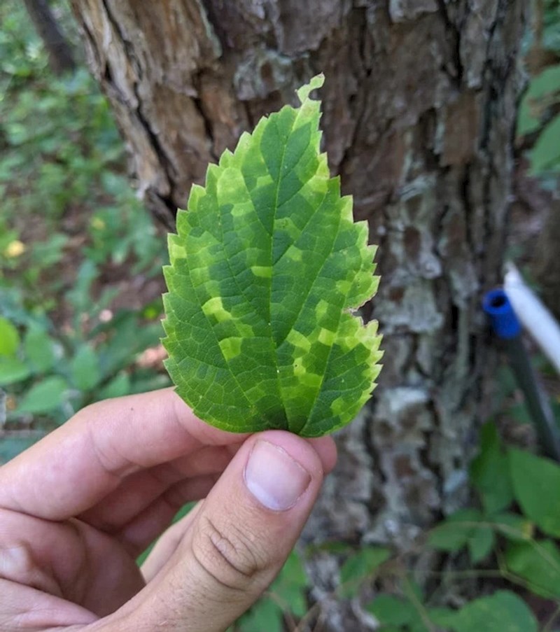 2. Različite boje i uzorci na ovom listu