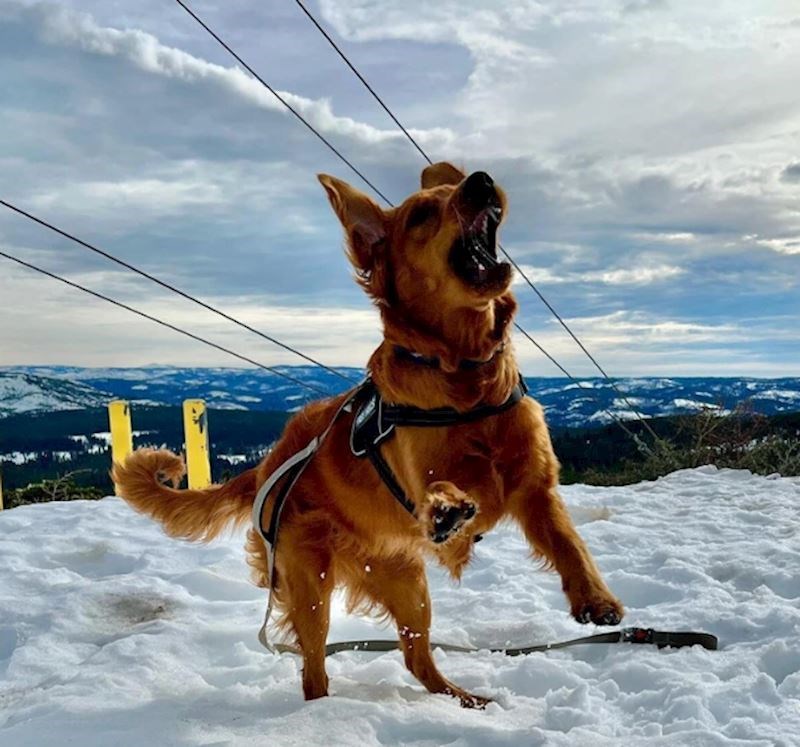 5. "Pitam se kome se najviše dopao odlazak na skijanje"