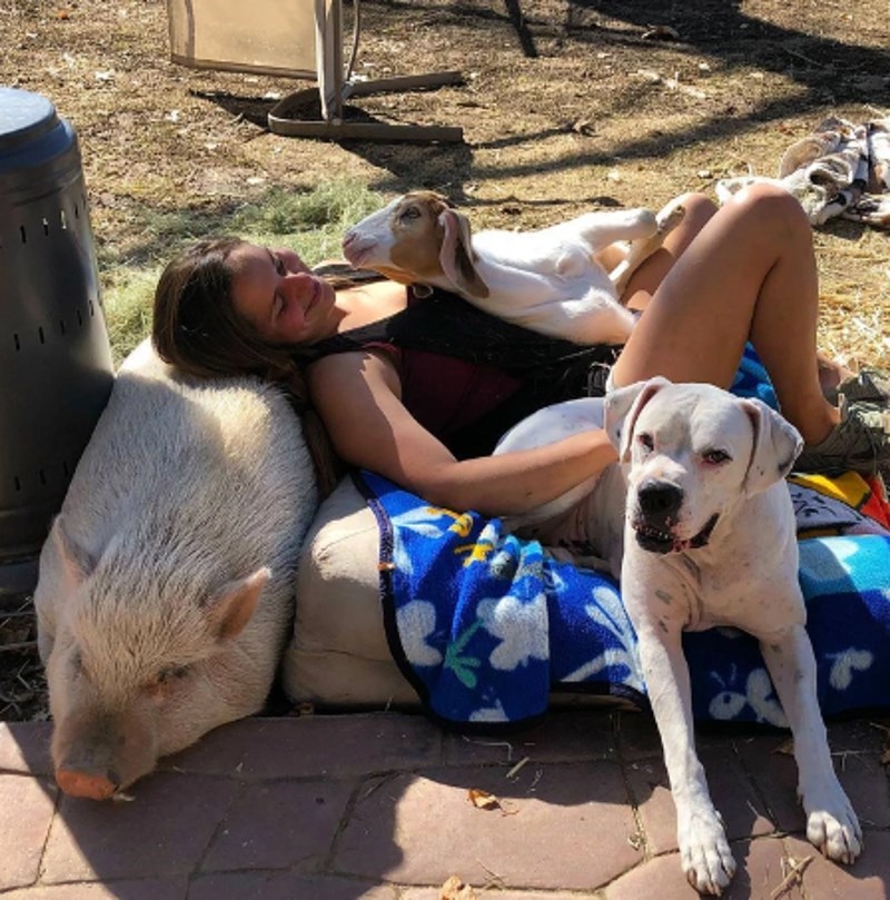 "Ovako to izgleda kad malo poželite odmoriti u skloništu."