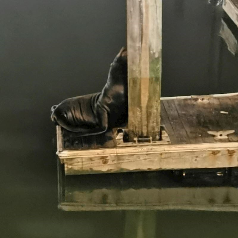 "Ovo se ne viđa svaki dan, kako je samo preslatko zaspao"