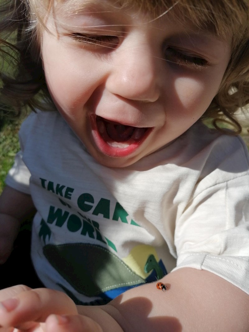 "Ovo je bila reakcija mog sina kad je prvi put bubamara sletjela na njega"