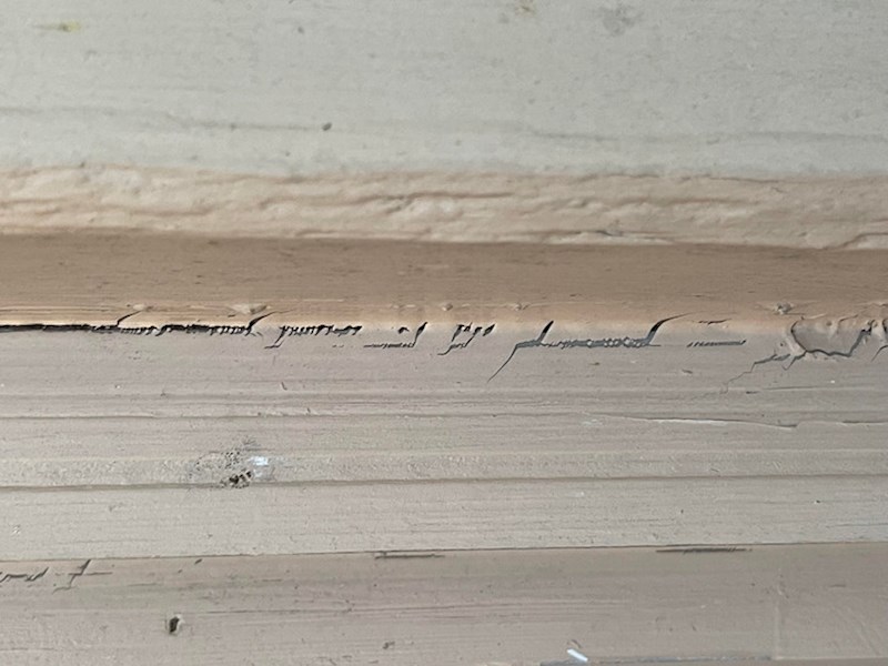 13. "Izgledaju li samo meni ove rupice u boji kao vilenjačko pismo?"