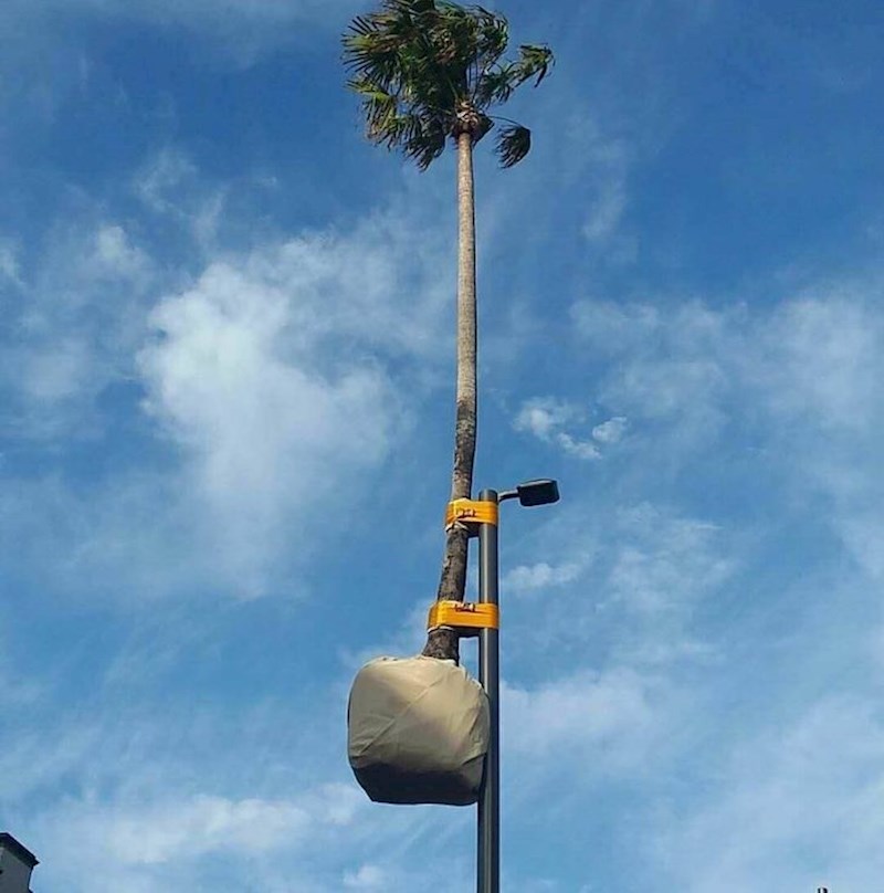 9. "Nisam mogla vjerovati kad sam ovo danas vidjela"