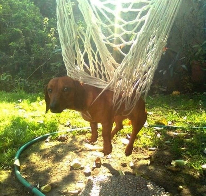 U njegovim očima se vidi da i sam zna da je napravio veliku pogrešku."