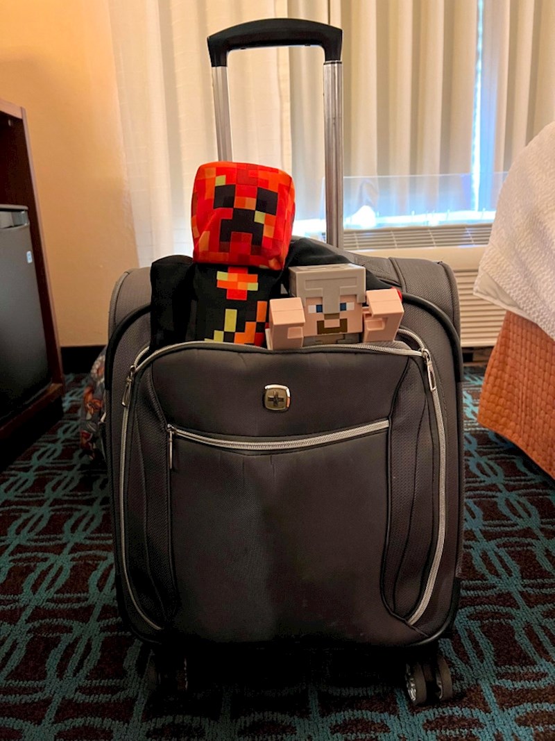 7. "Evo kako izgleda putovanje s mojim sinom i njegovim 'prijateljima'"