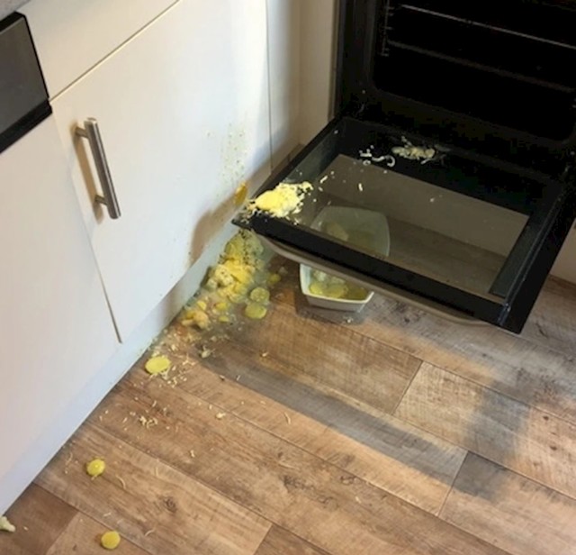 "Čini se da ćemo danas ručati pizzu!"