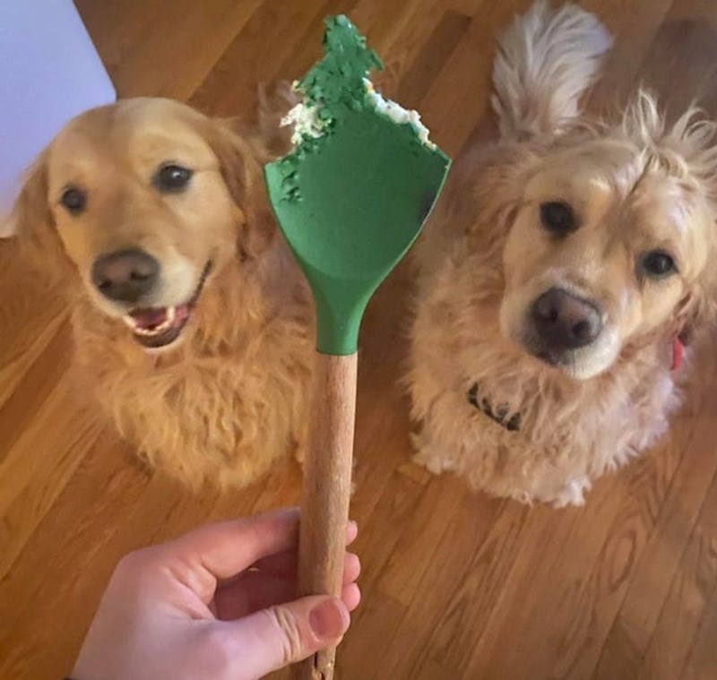 3. "Da mi je znati tko je krivac za ovo..."