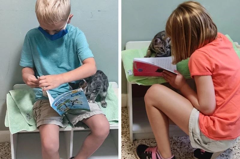 3. "Moja djeca su odlučila volontirati u skloništu za životinje. Na ovim fotografijama čitaju priče macama"