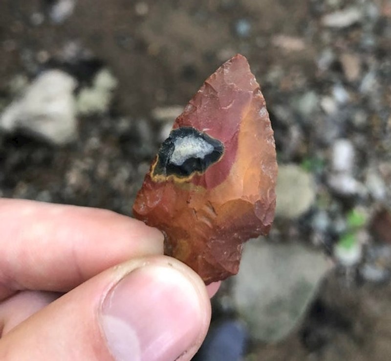 5. Netko je pronašao zanimljiv šiljak