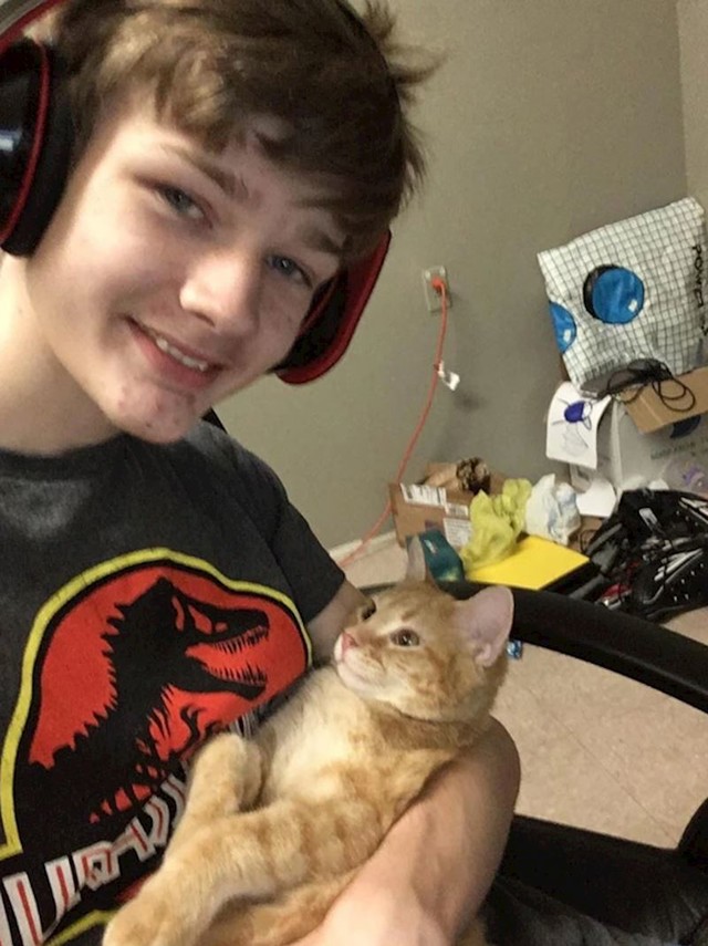6.