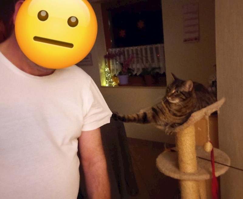 4. Nije ispunio dnevnu kvotu maženja