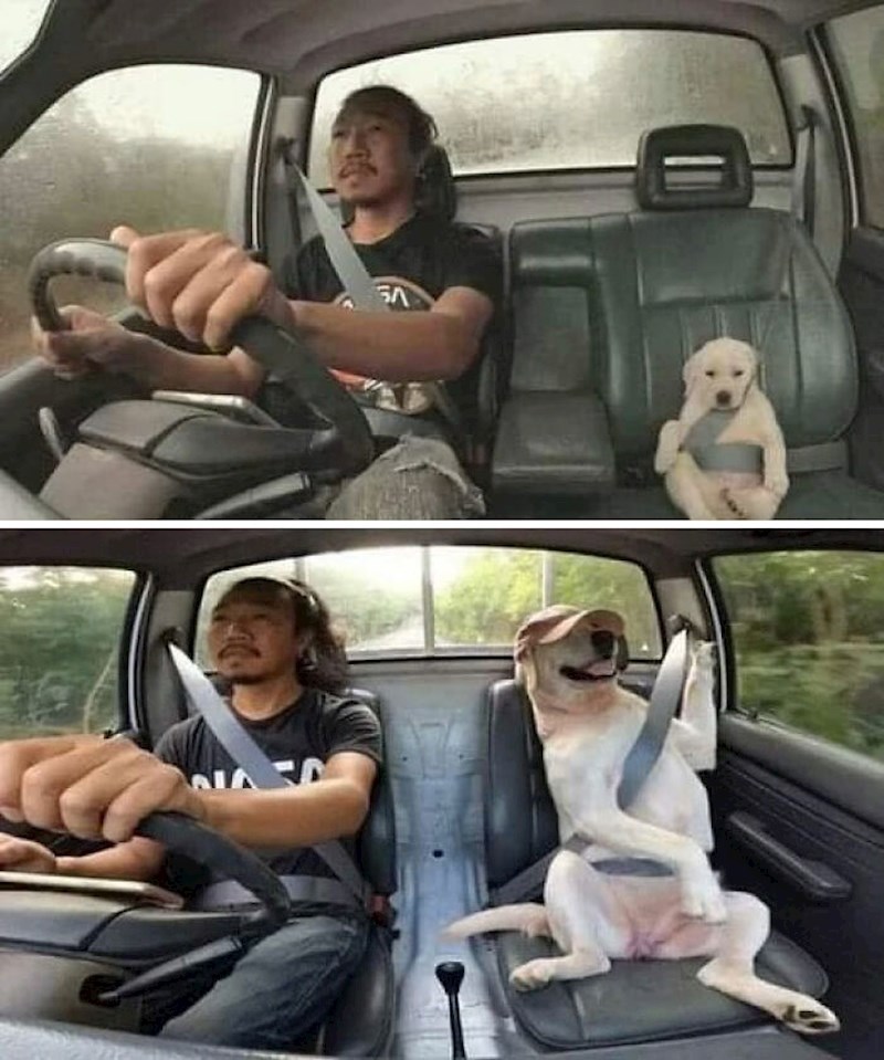 11. "Naaajbolji prijatelji"