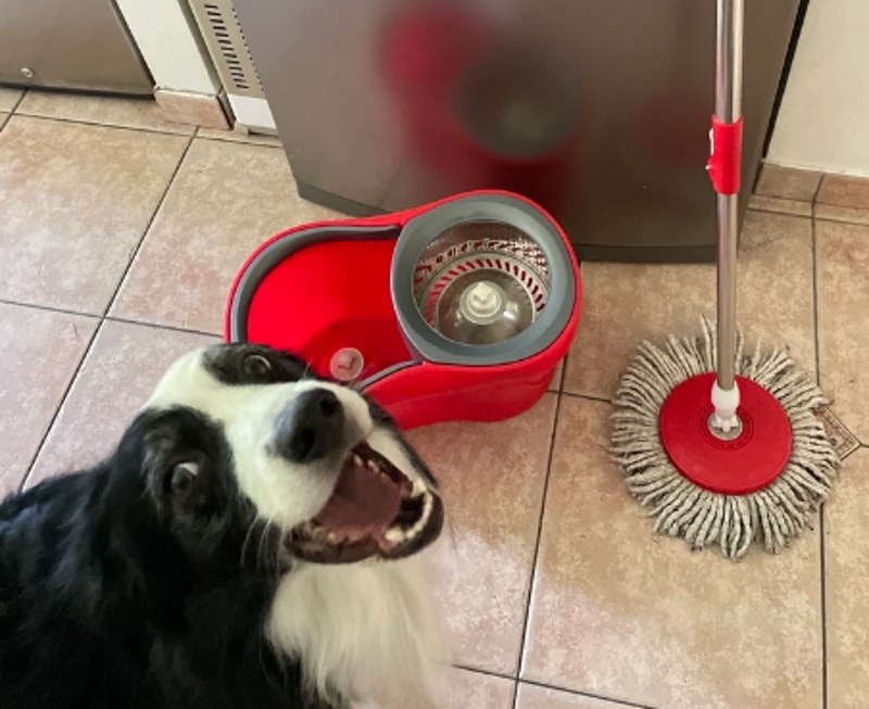 "Dugo nisam vidjela ovako sretnog psa."