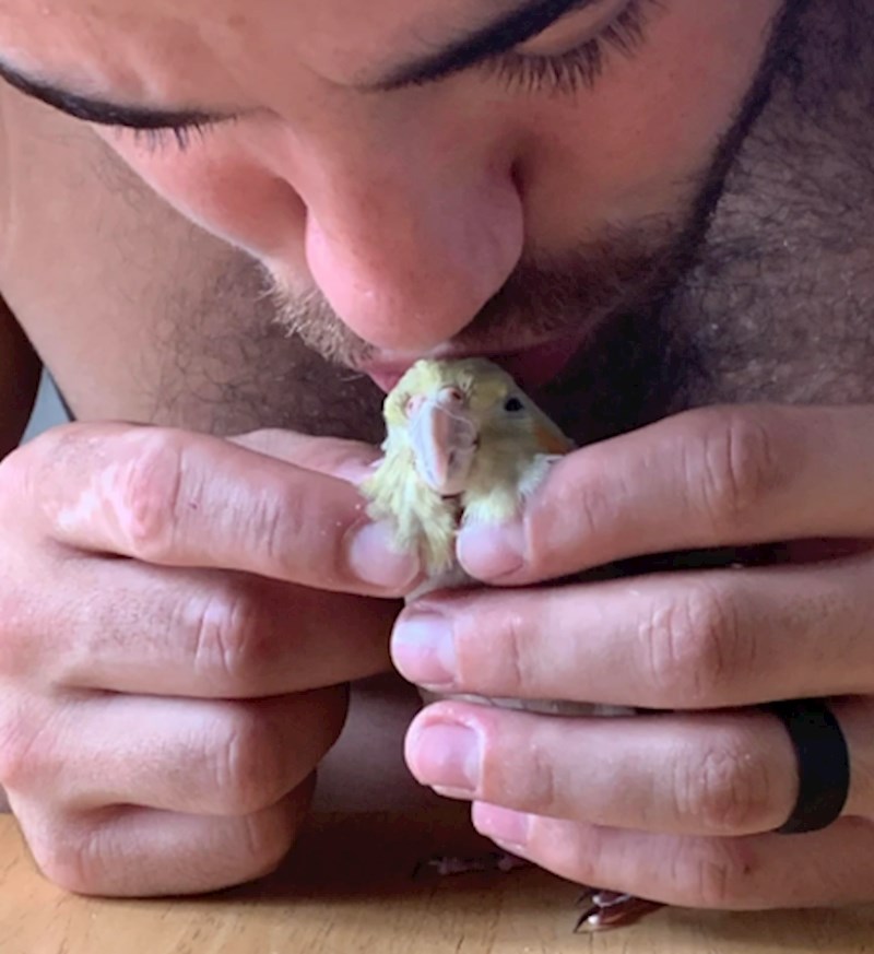 "Oni koji nikad nisu imali ptice za ljubimce ne znaju koliko ljubavi mogu dati"