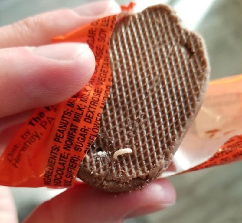 7. "Cijeli dan sam se veselila ovoj poslastici samo da bih vidjela da iz slastice izlaze crvi!!"