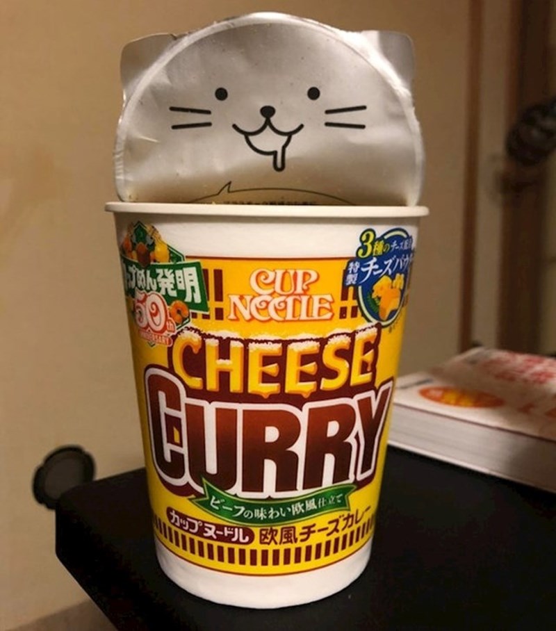 Kada otvorite ovaj poklopac, dočet će vas lik nasmiješene mačke.