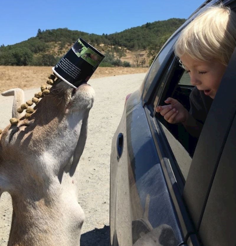 7. "Netko je bio malčice pohlepan."