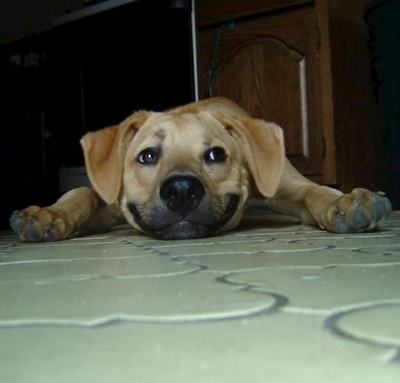 4. "Pogledajte samo taj osmijeh"