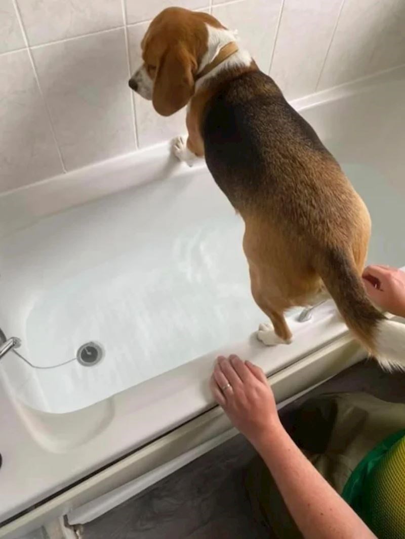 "Ne želi se kupati"