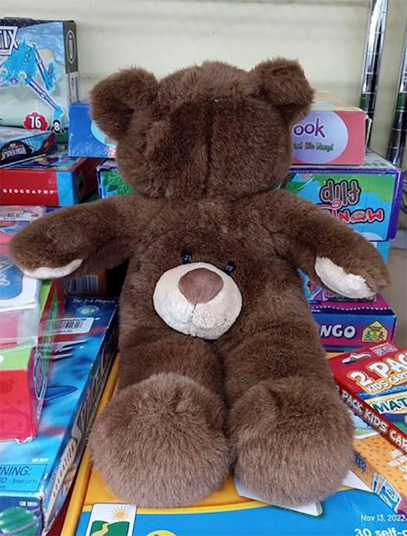 7. A jadan medvjedić!