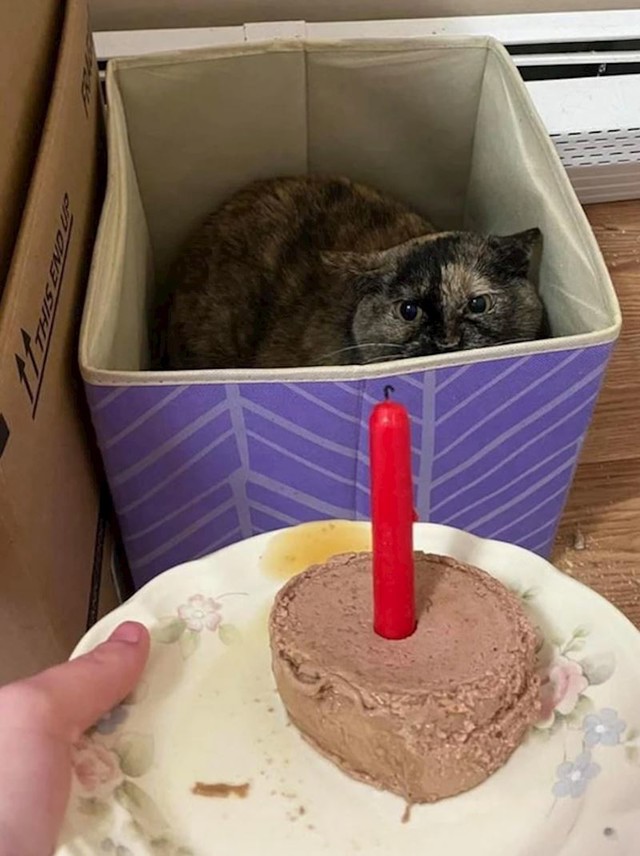5.