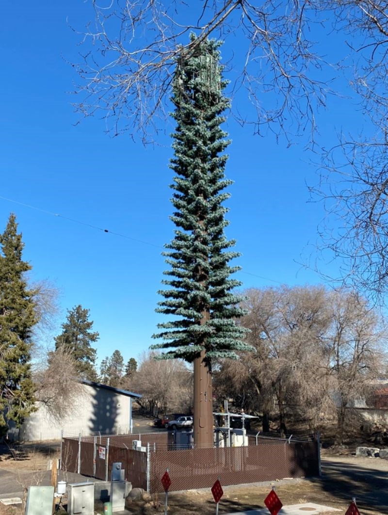"Netko je u mom gradu telefonski toranj napravio u obliku stabla kako bi se što više uklopio s prirodom"