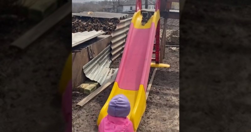 Djevojčica je učila psića kako da se spušta toboganom, ovaj video je najslađe što ćete danas vidjeti