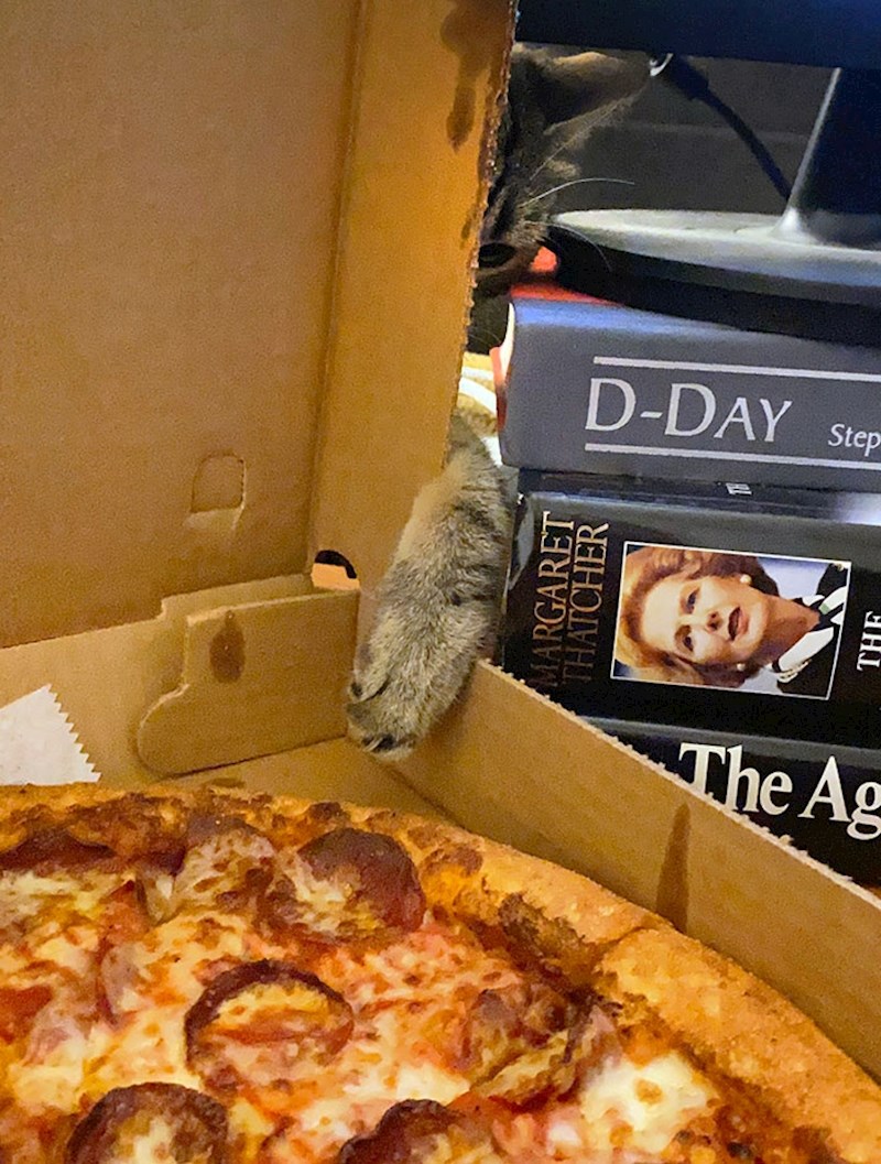 "Snimali smo ju dok nam je pokušavala ukrasti pizzu"