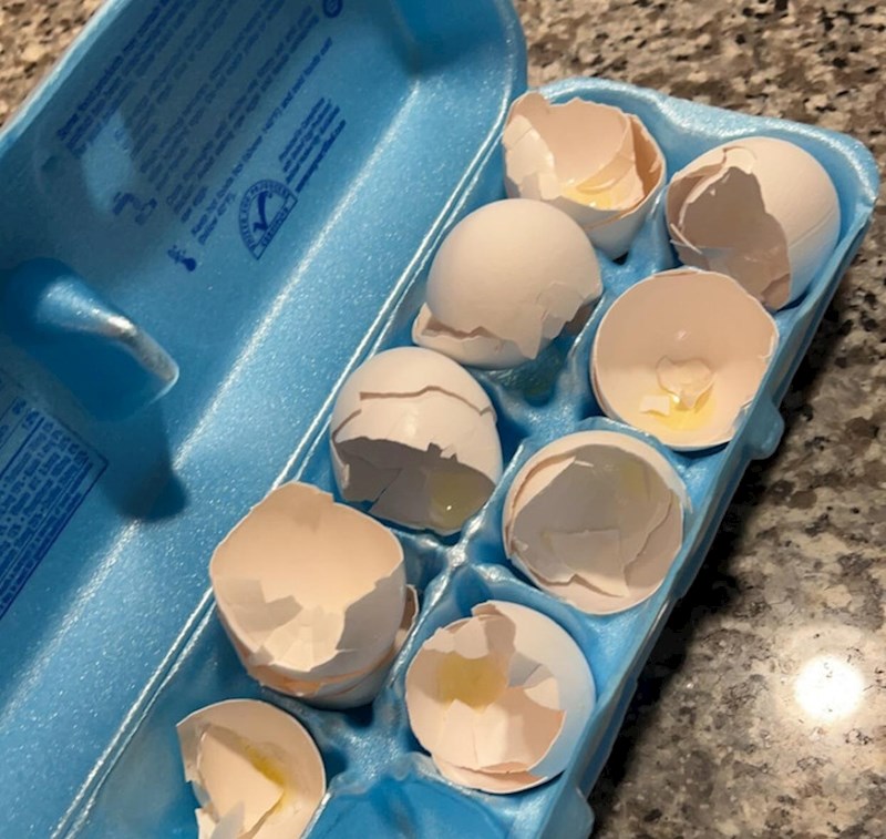 "Moja cura iz meni nepoznatnog razloga odbija bacati ljuske u smeće. Uvijek ih vraća u kutiju"