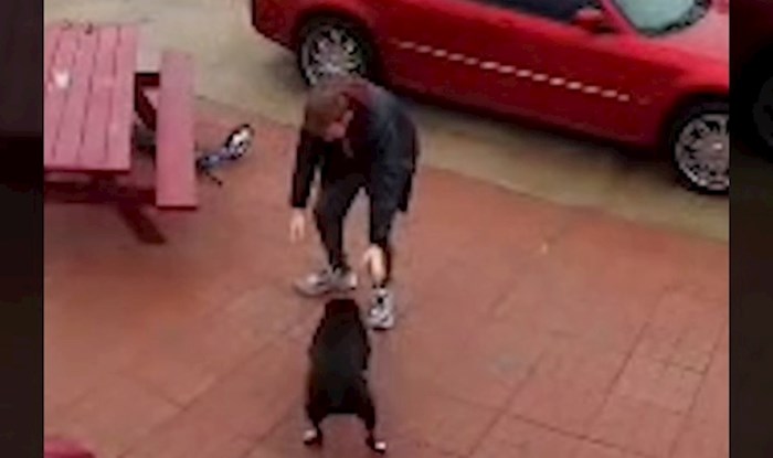 Nadzorna kamera uhvatila predobar trenutak između psa i vlasnika, ovo će vam uljepšati dan