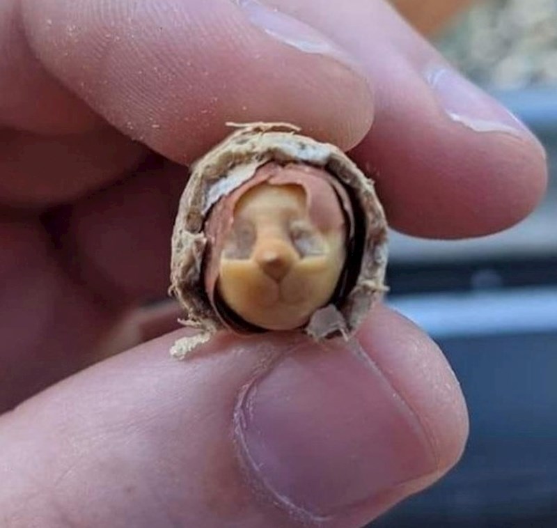 4. "Čini li se samo meni ili ovaj kikiriki izgleda kao da ima lice?"