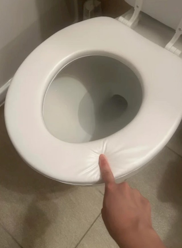"Stara daska za wc je pukla pa je stanodavac stavio ovo..."