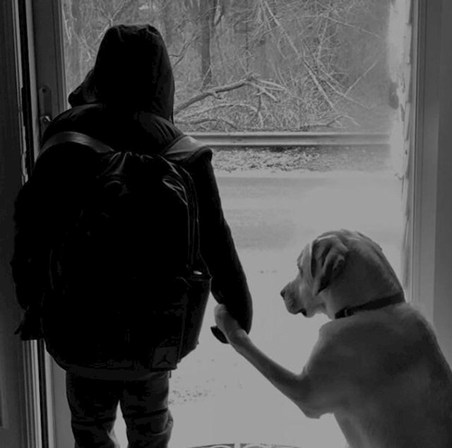 14. "Moj sin ovako svaki dan čeka autobus. Pas je uvijek tu pokraj njega i druže se za ruke, tj. šapu"