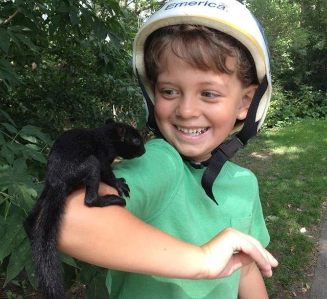 13. "Pronašli smo mladunče vjeverice danas u vožnji biciklima. Moj ju je sin jako htio zadržati, ali je znao da ne smije"