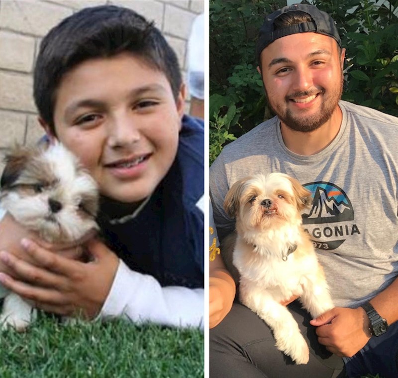 "Moj pas Wiggles i ja, 13 godina kasnije"