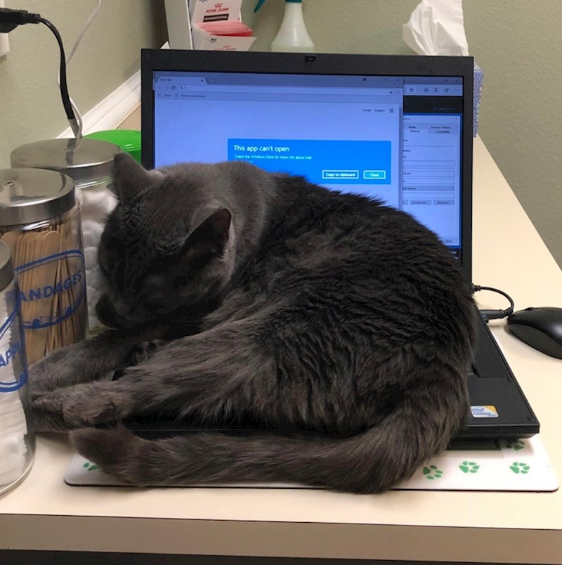 13. Novi asistent kod liječnika 😂