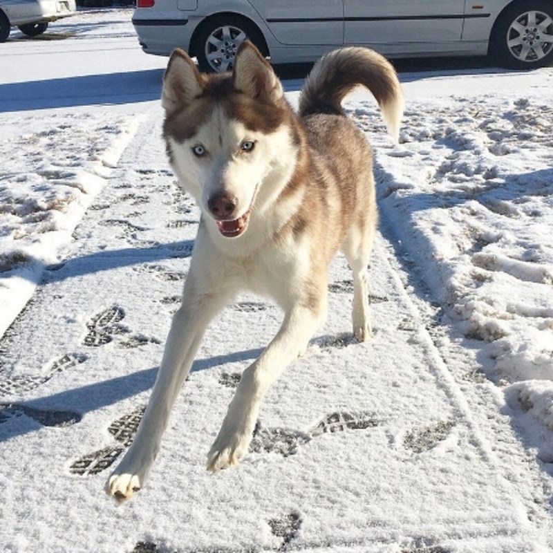 Netko izgleda jako uzbuđeno! 😄