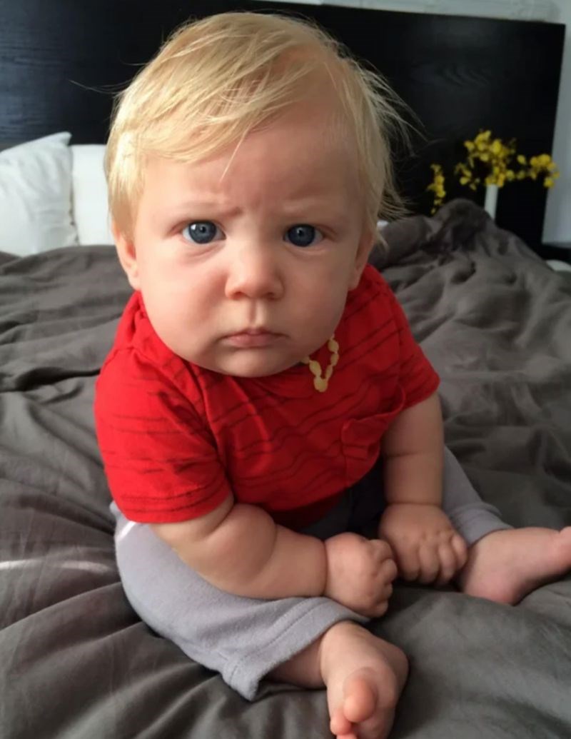 14. "Moj malac izgleda kao neki tip koji se žali na povećanje cijena u trgovini."