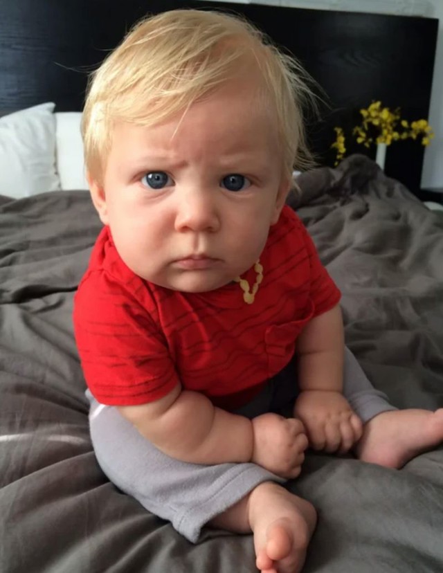 14. "Moj malac izgleda kao neki tip koji se žali na povećanje cijena u trgovini."