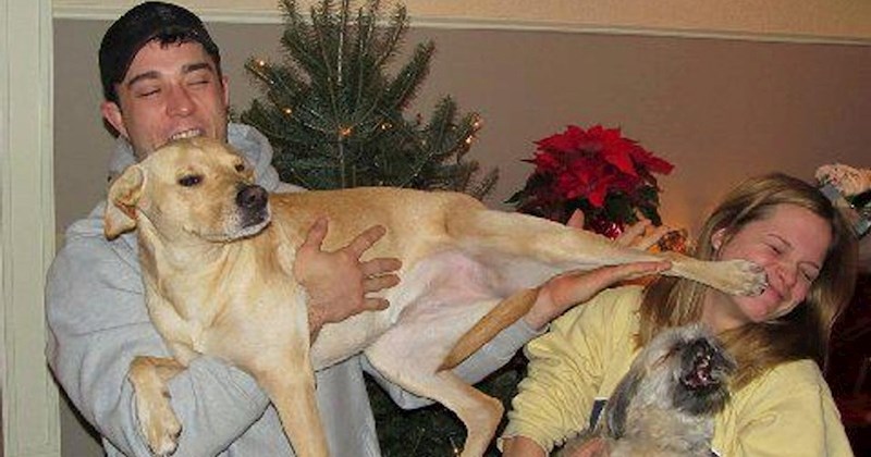 15+ pasa i mačaka koji mrze ne biti centar svijeta svojih vlasnika, fotke će vas nasmijati do suza