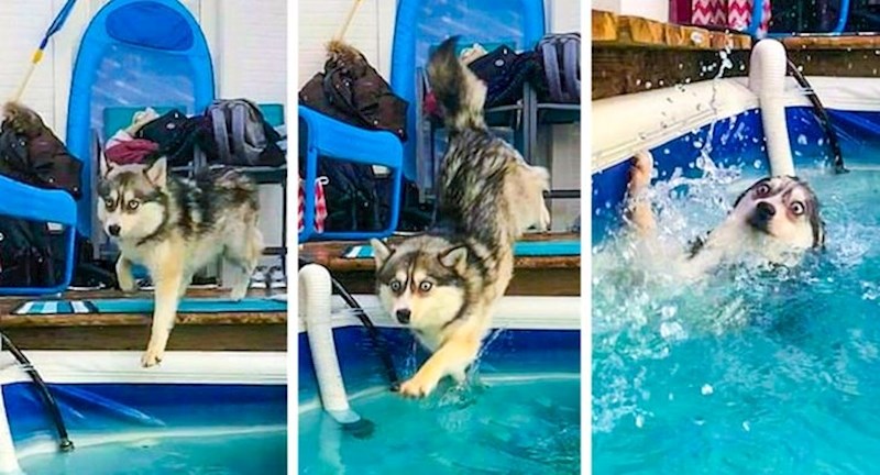 3. "Za sve one koji su brinuli, ništa mu se nije dogodilo"